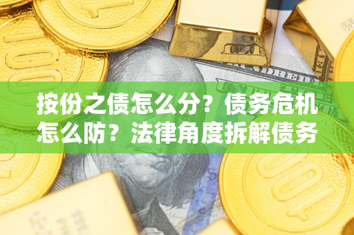 武汉按份之债怎么分？债务危机怎么防？法律角度拆解债务分配与风险自保指南