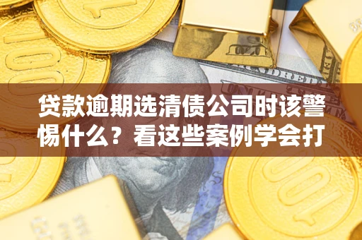 武汉贷款逾期选清债公司时该警惕什么？看这些案例学会打翻身仗