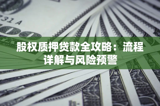 武汉股权质押贷款全攻略：流程详解与风险预警