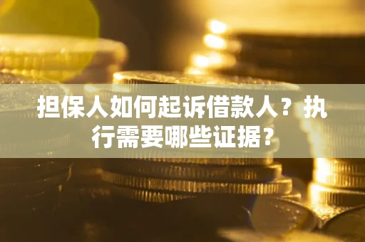 武汉担保人如何起诉借款人？执行需要哪些证据？