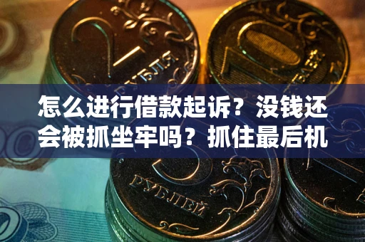 武汉怎么进行借款起诉？没钱还会被抓坐牢吗？抓住最后机会！