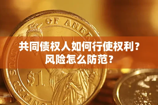 武汉共同债权人如何行使权利？风险怎么防范？