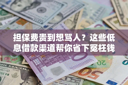 武汉担保费贵到想骂人？这些低息借款渠道帮你省下冤枉钱