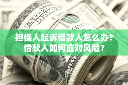 武汉担保人起诉借款人怎么办？借款人如何应对风险？