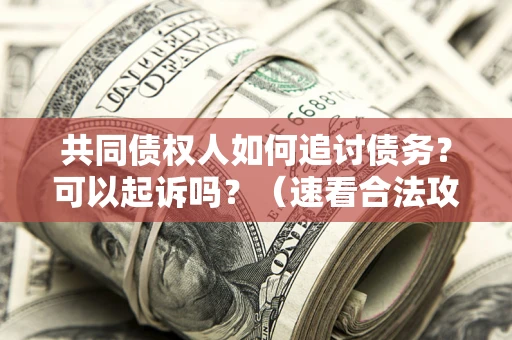武汉共同债权人如何追讨债务？可以起诉吗？（速看合法攻略）