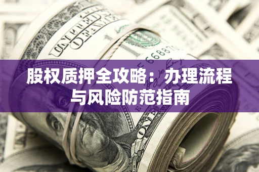 武汉股权质押全攻略：办理流程与风险防范指南