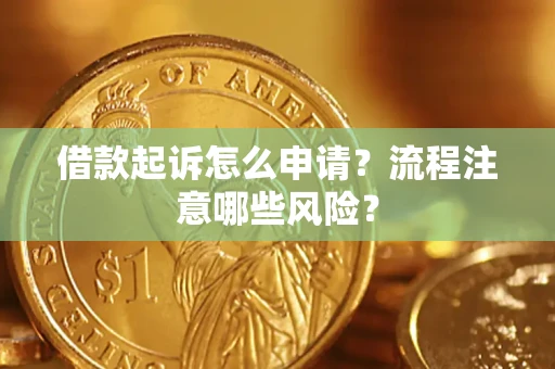 武汉借款起诉怎么申请？流程注意哪些风险？