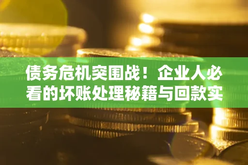武汉债务危机突围战！企业人必看的坏账处理秘籍与回款实战指南